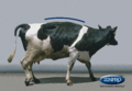 Thumbnail for version as of 18:03, 5 August 2024
