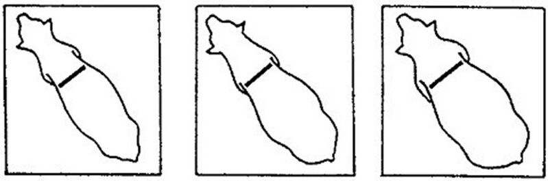 File:3.6.1 a.jpg
