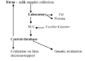 Thumbnail for version as of 15:35, 3 August 2024