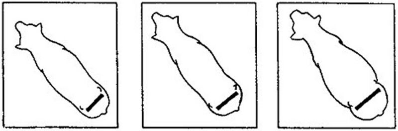 File:3.6.1 d.jpg