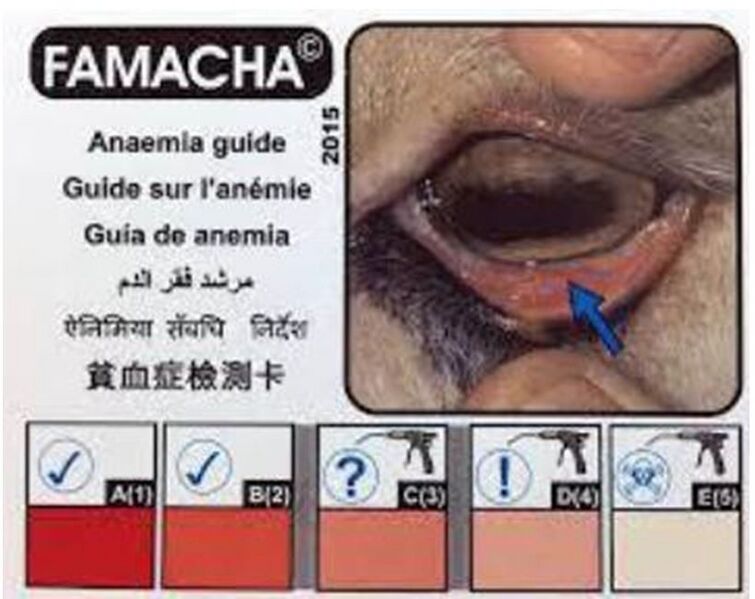 File:Annex 2 Farmacha 2.jpg