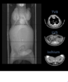 Thumbnail for version as of 12:35, 11 July 2024