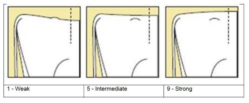 File:26. Loin strength.jpg
