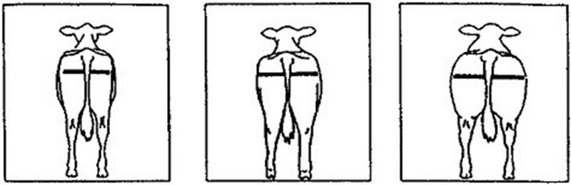 File:3.6.1 e.jpg
