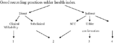 Thumbnail for version as of 15:31, 3 August 2024