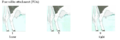 Thumbnail for version as of 15:36, 3 August 2024