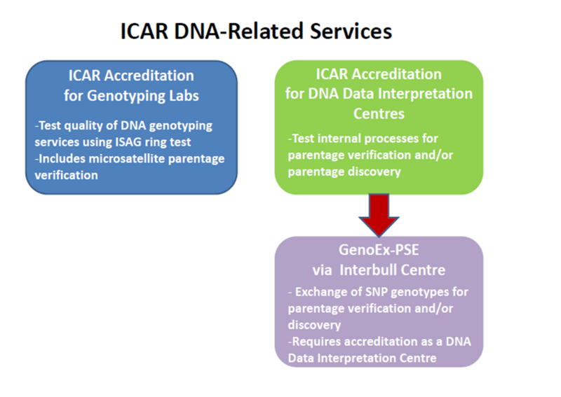 File:ICAR DNA service.png
