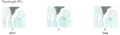 Thumbnail for version as of 15:37, 3 August 2024